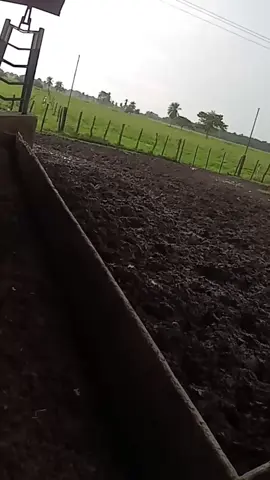 Barinas, tierra llanera... 🤠🤠🤠🌨