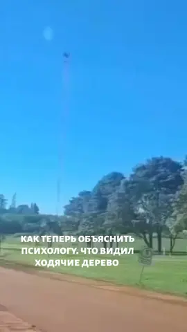 #жизаиточка #вокак😳#хорошегонастроения #отправь #отмечай 