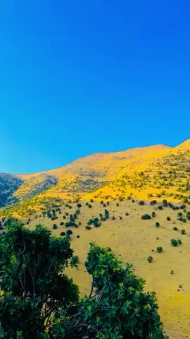 شەوگاری پایز