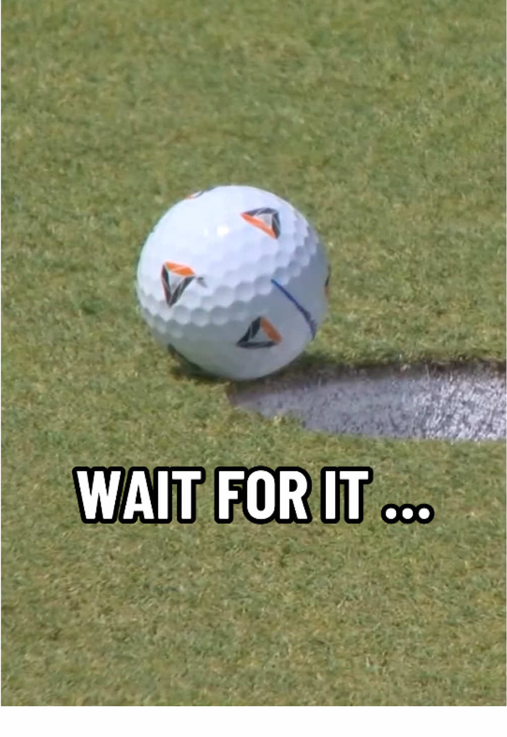 RIP to that fly 🪰 #PGATOUR #golf #golftiktok #wild #fly 