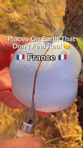 Beautiful France || 🇫🇷🇫🇷 #france #explore #beautiful #travel #incredible 