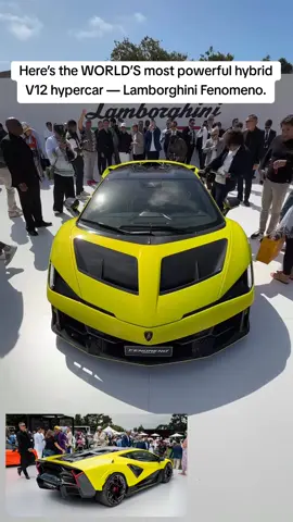 Here’s the WORLD’S most powerful hybrid V12 hypercar — Lamborghini Fenomeno. Just only 29 production of its type and all already SOLD OUT. #LamborghiniFenomeno #HybridHypercar #MostPowerfulLambo #FewOffCollection #CarTok 