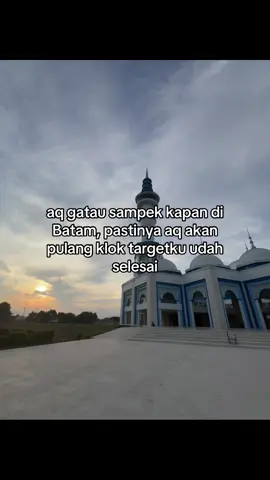 #batam #fypシ゚viral #foryoupage #tehobeng 
