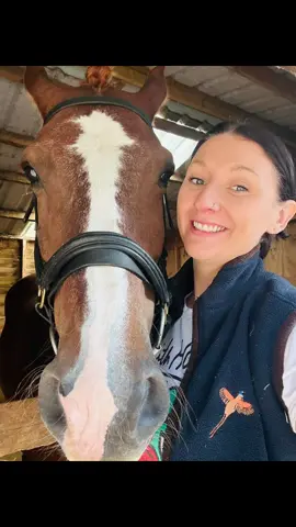 #horseshow 