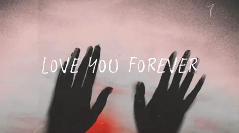 🌺*. | forget-me-not - laufey | #forgetmenot #laufey #lyrics #amatteroftime #lyricsvideo 