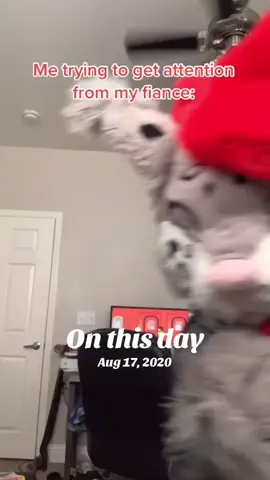 #onthisday 