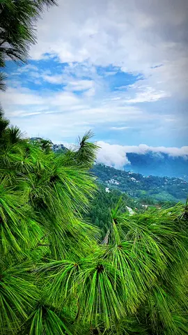 View🍂#murreehills #view #malkakohsarmurree #foryou 