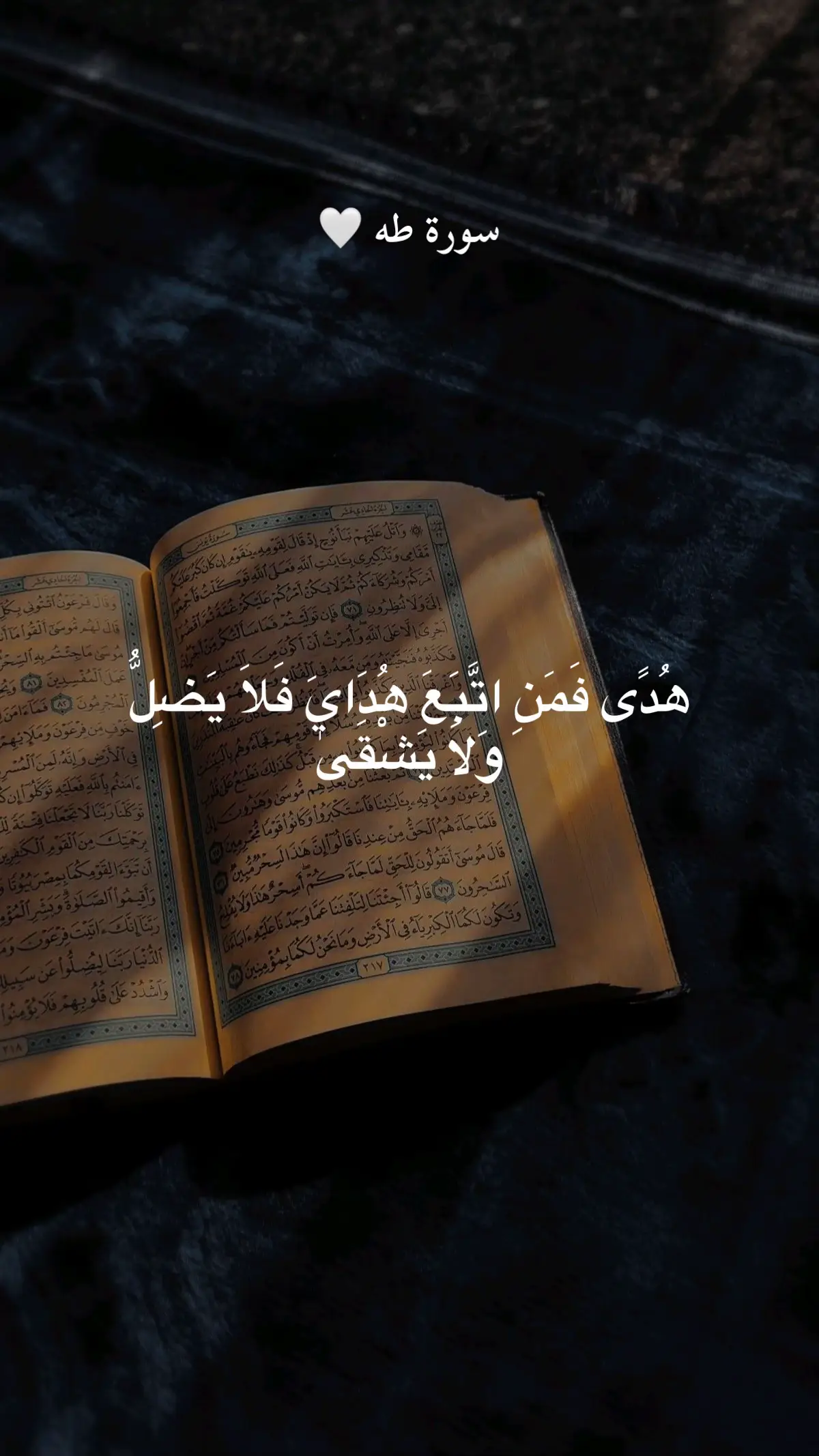 #سورة_طه 🤍 #عبدالله_الموسى #تلاوة_خاشعة  #قران_كريم #صدقة_جارية 