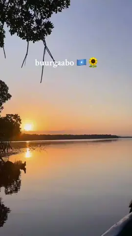 one of my favourite places in Somalia 🇸🇴 beautiful sunset #jubaland #badhadhe #burgabo #lagbadanabushbushlenationalpark #mangrove 