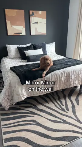 STOCK ALERT🚨The only mirror seller to have the 71x26 available under hundred bucks! 