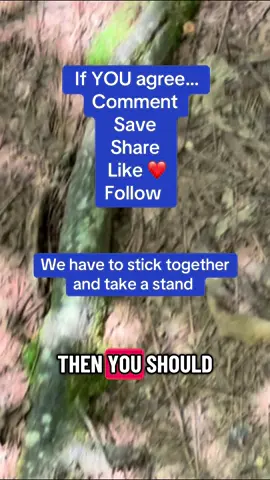 At this point if you don’t get it, you don’t want to. But if you do we should be friends #truthteller #advocates #friendsoftiktok #underdogs #standtogether 