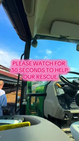 We are a 501c3 rescue based out of TX 🐴 To help our rescue ⤵️ 🐴🫏🐮 www.donorbox.org/freedomreinsvet  #fyp #farmanimals #cowsoftiktok #horsesoftiktok 