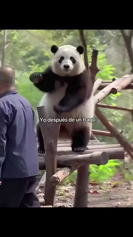 me pasa xd #paratii #fypシ゚ #humor #baile #panda