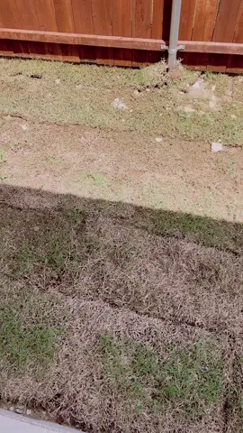 Does Grass Grow Over Concrete?? #newconstruction #newconstructionhome #newbuild #lazy #giveup