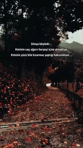 🍁 #agirsozler #kesfet #fyp 