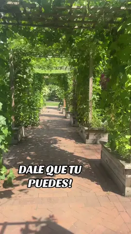 #dalequetupuedes 