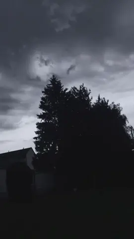 🎼☕️🍂…🖤