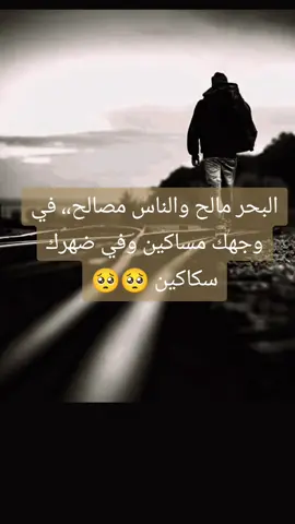 #‏ماي شا>:البحر مالح والناس مصالح،، في وجهك مساكين وفي ضهرك سكاكين 🥺🥺 #creatorsearchinsights  #لايك💔🥀 