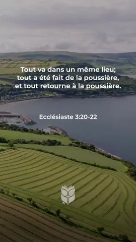📖 Tout va dans un même lieu; tout a été fait de la poussière, et tout retourne à la poussière. Ecclésiaste 3:20-22 Louis Segond #biblevision #labible