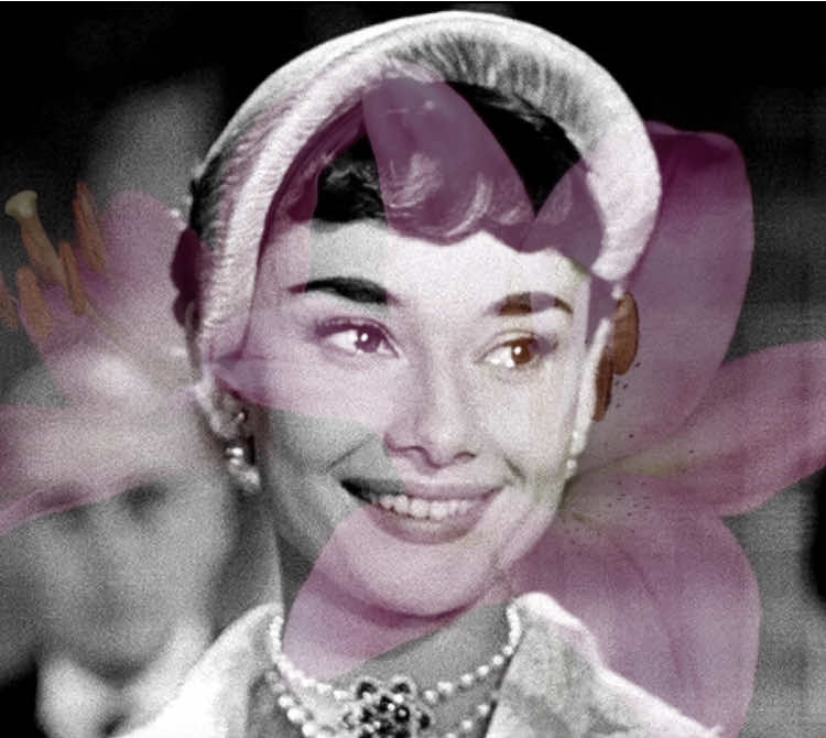 i’m looking at the world through rose coloured glasses ♡  #vintage #aesthetic #coquette #oldhollywood #audreyhepburn 