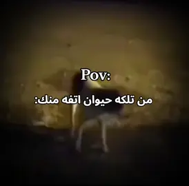 هههههههههههههههههههههههه .......................................  #الشعب_الصيني_ماله_حل😂😂 #مالي_خلق_احط_هاشتاقات🧢 