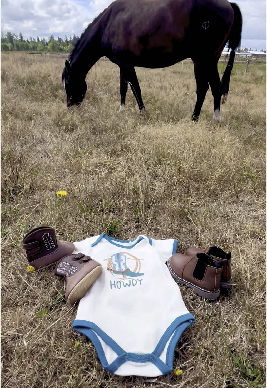 Patiently waiting for you little man!🤎 #babyboy#baby#pregnant#horses#cowboy#western#fyp