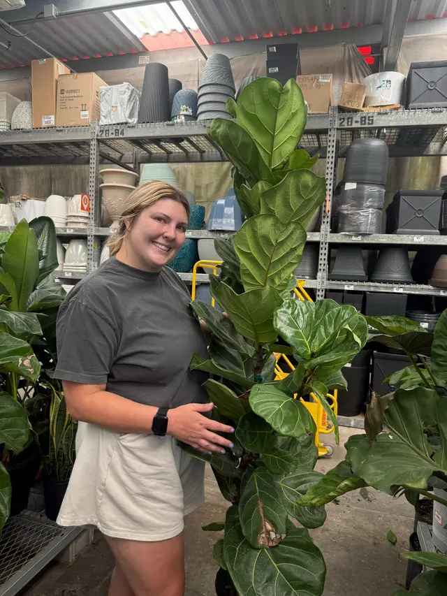 Finally got my Becca #foryoupage #PlantTok #palntsoftiktok #fyp #plantlover 