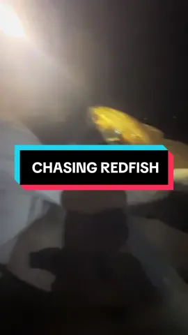 Baby i'm a dreamurrrrr🗣️ #redfish #kayakfishing #pb @Brayden cope 