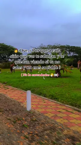 Seguimos en el proceso💪🇪🇨#conocerelmundo🌍 #caballos  #nuevosseguidores💕 #nuevosrumbos✈️ #experience @HaciendaBellaCarmita 