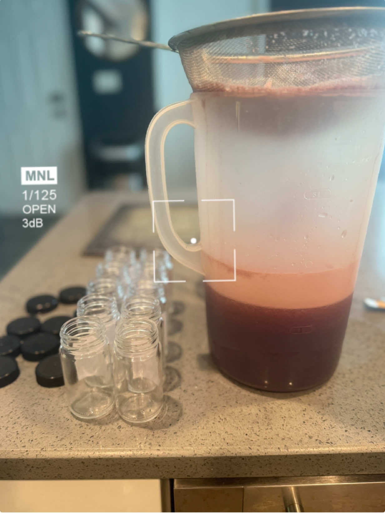 Whewwww, y’all… I’ve been in this kitchen mixin’ up magic. These little bottles right here? Ginger Pineapple Lemon Sorrel Shots—made with my two hands, a whole lotta love, and just a touch of red pepper to keep things spicy. 🌶️🍍💥 I ain’t gon’ lie, they’re strong. Like, clear-your-throat-and-your-spirit strong. 😂 But baby… they hit every time. For your gut. For your glow. For your grind. If you see me bottling up a batch, just know—it’s wellness season over here. ✨ #FromMyKitchenToYours #SorrelWithASwitchUp #HealingInChucks #GingerGotHands #PineapplePower    