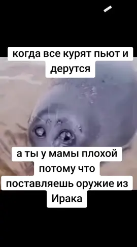 #fakeall⚠️⚠️⚠️⚠️⚠️ #пельмени #скала #амнепофик 