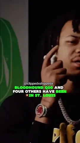 #bloodhoundq50 in St. Louis #foryou #viral #bloodhoundliljeff #blowup #xyzbca 