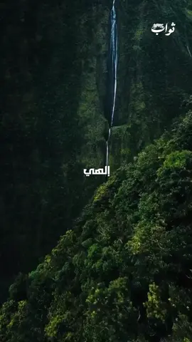 #أهل_البيت #حب_أهل_البيت #خدام_الحسين #القرآن_والعترة #الإسلام #الإمام_علي #نهج_البلاغة #وصي_الرسول #دعاء_كميل #دعاء_الندبة #زيارة_الأربعين #یا_صاحب_الزمان  #دعاء_أبي_حمزة_الثمالي #لحظات_السحر #روحانية #مناجاة #التوبة #الخشوع 