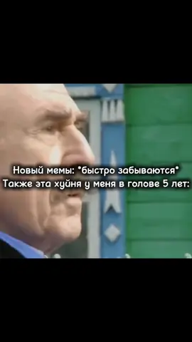 #мемы #следствиевели #rytp #fyp 