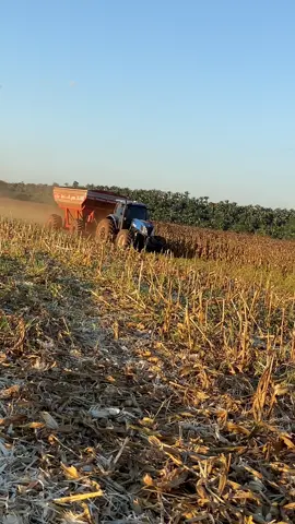 #agroetopagroetudo #agronaopara🇧🇷🚜🌱  #agroetudo 