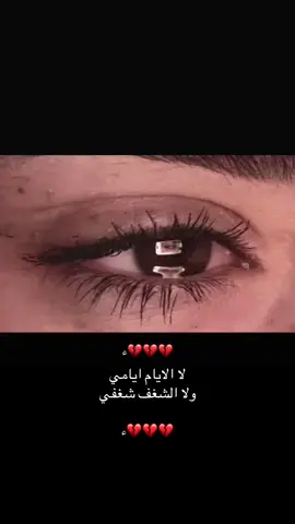#مشهير_تيك_توك #محظور_من_الاكسبلور🥺 #مالي_خلق_احط_هاشتاقات🧢 