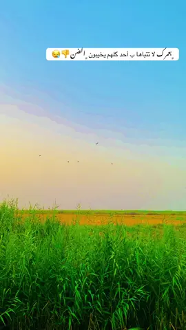 كلهـم ﮼يخيبون الضن 💔😒. . . .  . #﮼احمد #تصويري_احترافي_الاجواء👌🏻🕊😴 #تصويري📸اكسبلوور♥️🙂📸اكسبلوور #مجرد________ذووووووق🎶🎵💞 #مجرد_ذووقツ🖤🎼 #تفاعلكم_حتى_أستمر 
