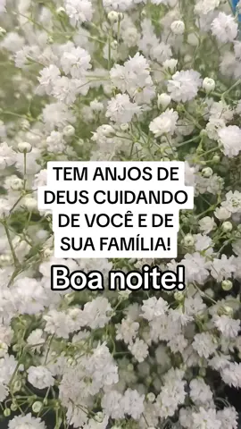 Deus te proteja #boanoite #ccb 