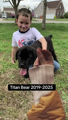 #CapCut #transformation #dogsoftiktok #rainbowbridge #fypage 