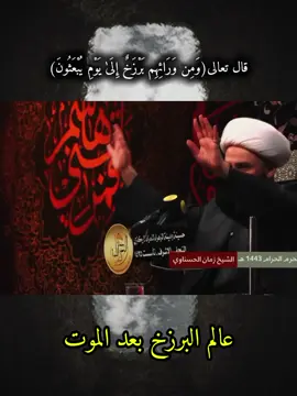 عالم البرزخ جميل للمومن #الشيخ_زمان_الحسناوي  #عالم_البرزخ 