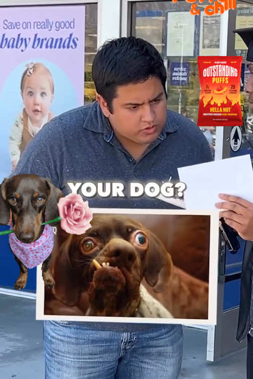 Free Samples #comedy_category_mu #viral #viralvideo #funny #dog