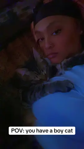Tell me you have a boy cat without telling me you have a boy cat