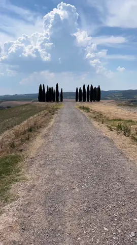 Siena ♥️🇮🇹🌳#siena #italy #d’orcia #dc #fyp 