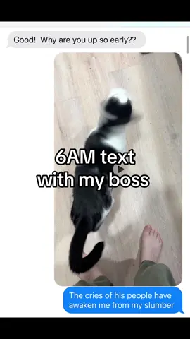 My #cat likes to wake me up for #pets 