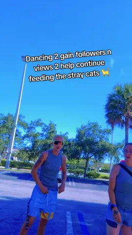 hey guys we really need the help from yall its getting really hard 4 us to feed these cats. We spend 80 bucks everytime we go to the store for cat supplies which is every other day. A dollar helps us guys. We can't do this without yall#catlife #fypシ゚viral #catmom #STRAYCATS 