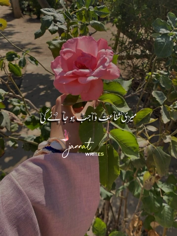 SUBHANALLAH❣️#jannat_official01 