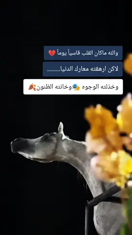#خيول_عربية_اصيلة❤️🐎 #خيل_وخياله🐎  #المصمم_بوهيبه🎬بوهيبه🎵  #مجرد________ذووووووق🎶🎵💞  #اقتباسات_عبارات_خواطر🖤 