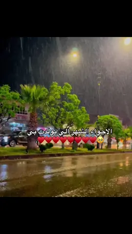 #امطري_قلبي_امطري #😂♥️ #الشعب_الصيني_ماله_حل😂😂 