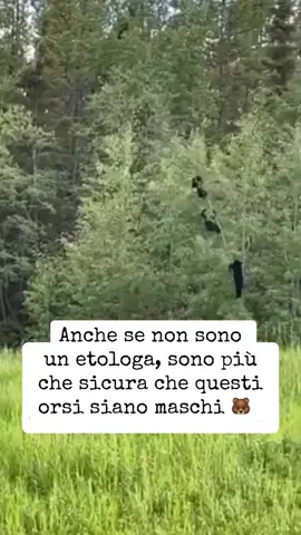 Sicurissima!!!🐻🐻🐻  #erologa #orsi #blondietrotter 