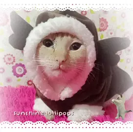 PERDÓN LO INACTIVAA, 5 pm - 6 pm vids @Mary #gatitos 